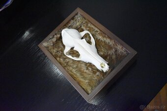 Dekorativní rámeček s lebkou - 2