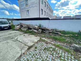 Palivové dřevo, dekorace - 2