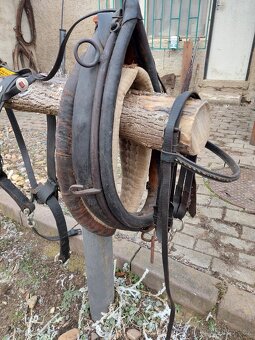 Postroj pro pony nebo osla chomoutovy - 2