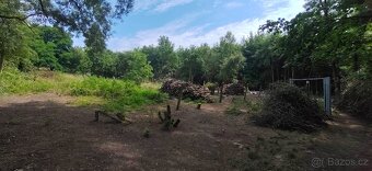 Pronájem zahrádka | Zahrada 663 m2, Orlová Město - 2