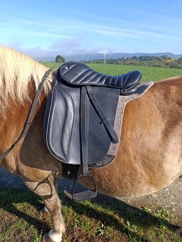 Turistické sedlo - 2