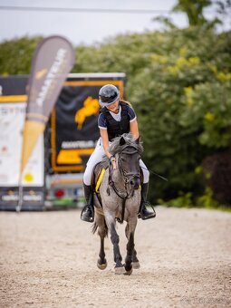 Sportovní pony klisna - 2