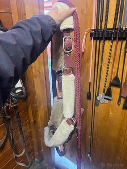 Ohlávka s beránkem - 2