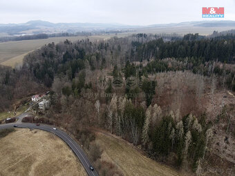 Prodej lesa, 2745 m², Ústí nad Orlicí - 2