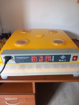 Lihen - 2