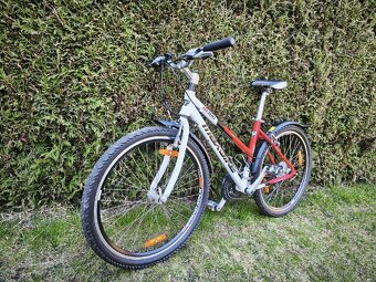 Maxbike m 300 26" - 2