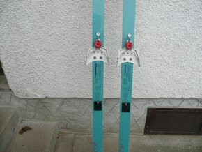 Běžky ARTIS Polar 695 délka 190 cm - 2