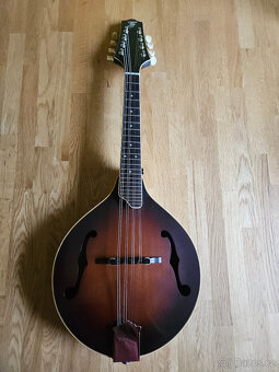 Celomasivní mandolína FURCH Ma 2 A - 2