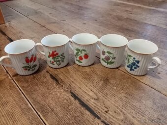 Retro hrnky Botanika, Dubí - 2