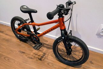 Rascal 14 - oranžový - 2