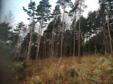 Lesní pozemek 3,4ha, KÚ Frýdlant nad Ostravicí - 2