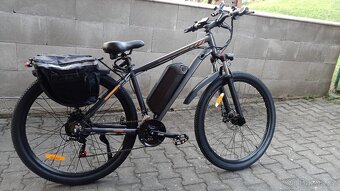 Cheevalry C29 - 2