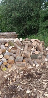 Dubové kůly a palivové dřevo - 2