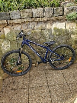 Horské kolo Author - 2