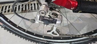 Schwinn - 2