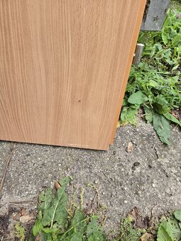 Vchodové protipožární dveře 197 X 90 - 2