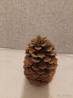 Šišky ke zdobení na Vánoce - 2