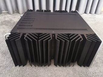 Pass Labs INT-250 Integrovaný zesilovač - 2