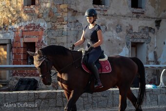 Valach po Grand Step - 2