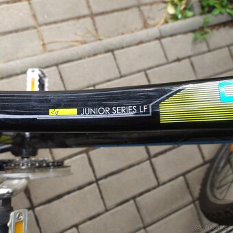 Dětské kolo 24 - 2