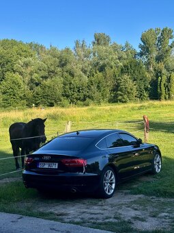 A5 3.0Tdi 176kw manual 2011 - 2