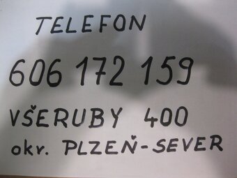 Borůvky deně čerstvé ručně trhané 130 Kč litr - 2