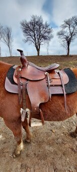 Westernove sedlo ( QH ) - 2