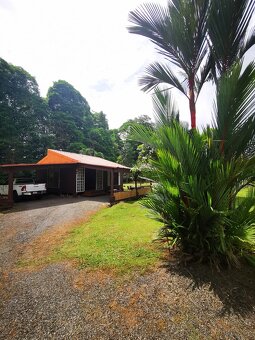 Pozemek s chatou Kostarika Heredia Sarapiqui - 2