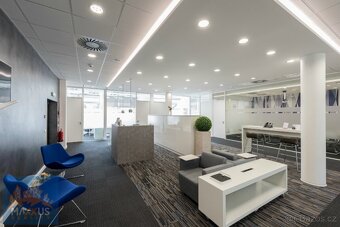 IP PAVLOVA - reprezentativní kancelář (21 m2), Praha 2 - Nov - 2