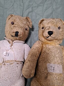 Staří medvídci - 2