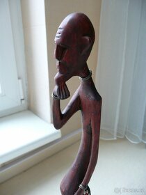 Africka ebenova soska - 2