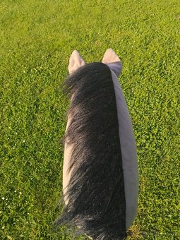 Hobby horse Larden - 2