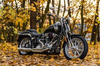 Harley - Davidson Springer CVO 110 - 2
