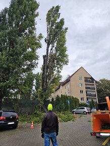 Rizikové kácení, ořezy stromů, řez ovocných stromů
- 2