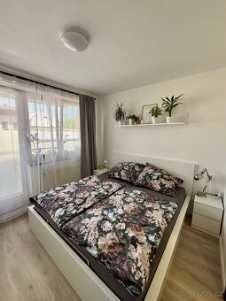 Pronájem bytu 2kk, Rokycanova Olomouc - 2