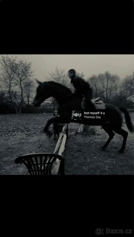 Poloviční pronájem - 2