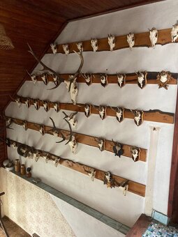 Lovecké trofeje - 2