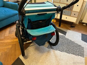 Thule chariot - 2