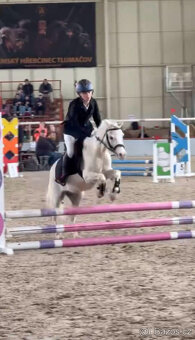 super pony holčička- vyhrávací pony - 2