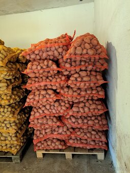 Brambory z Vysočiny - 2