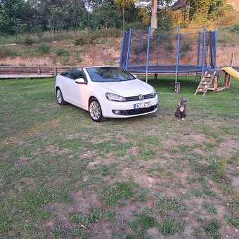 Vw golf vi cabrio - 2