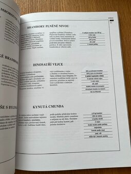 Rychlé večeře pro moderní ženu - 2