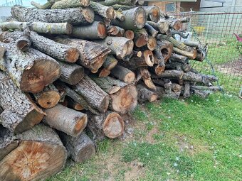 Dřevo z jabloně - 2