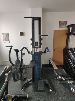 Verticon inSPORTline Profi - 2