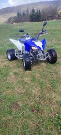 Yamaha YFM 250 Raptor - 2