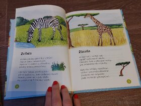 Nová kniha Říkanky se zvířátky a Kachnička Malí... - 2