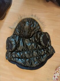 Obleček na čivavu. - 2