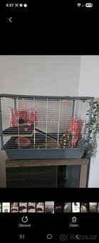 Klec na morče ,králík - 2