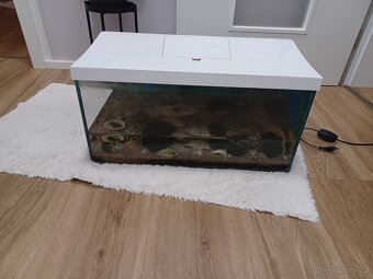 Akvarium 60x40 cm - 2