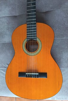 Kytara 🎸 Speciál Edition Classic - 2